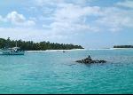 МАЛЬДИВСКИЕ ОСТРОВА, МАЛЬДИВЫ - описание Мальдивских островов, отели на Мальдивах, вопросы туризма на Мальдивы, туристические туры на Мальдивы, круизы, специальные предложения по горящим турам и горящим путевкам на Мальдивы
